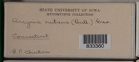 Image Associated With the Occurence